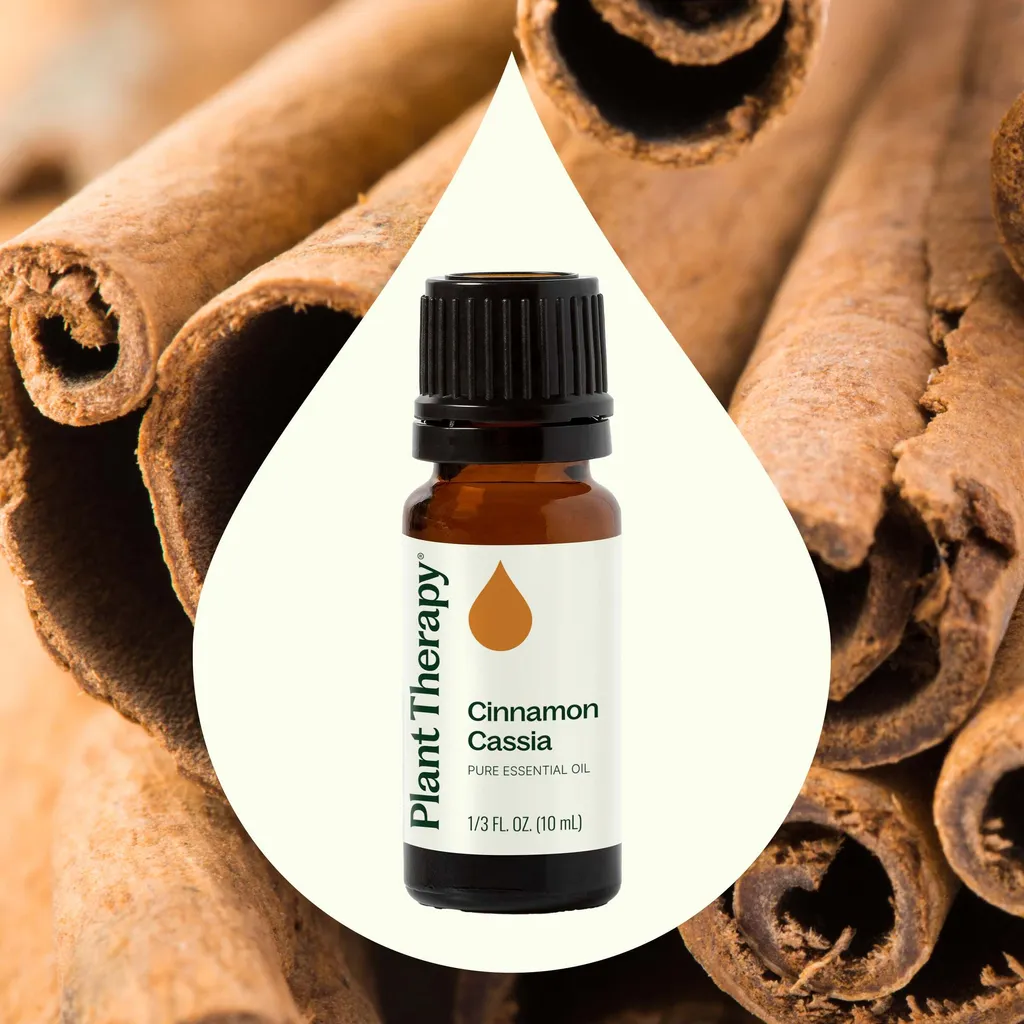 Cinnamon_Cassia-02-10mL_1