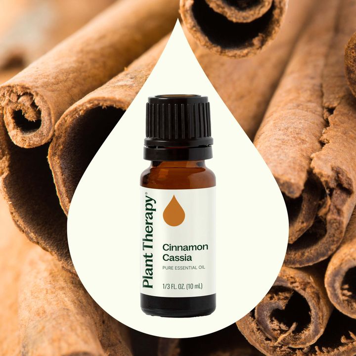 Close-up of Plant Therapy Cinnamon Cassia Essential Oil label with warm spicy cinnamon aroma