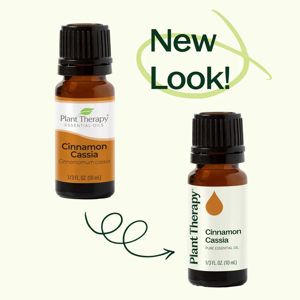 Cinnamon_Cassia-05