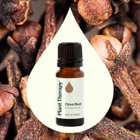 Clove_Bud-02-10mL