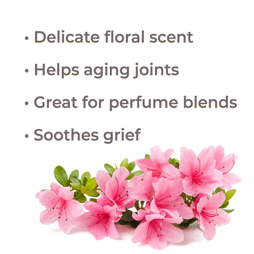 rhododendron-benefits