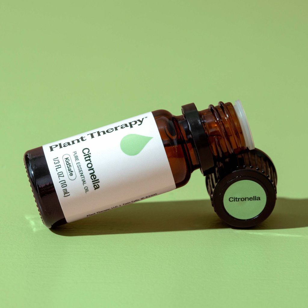 Citronella-12