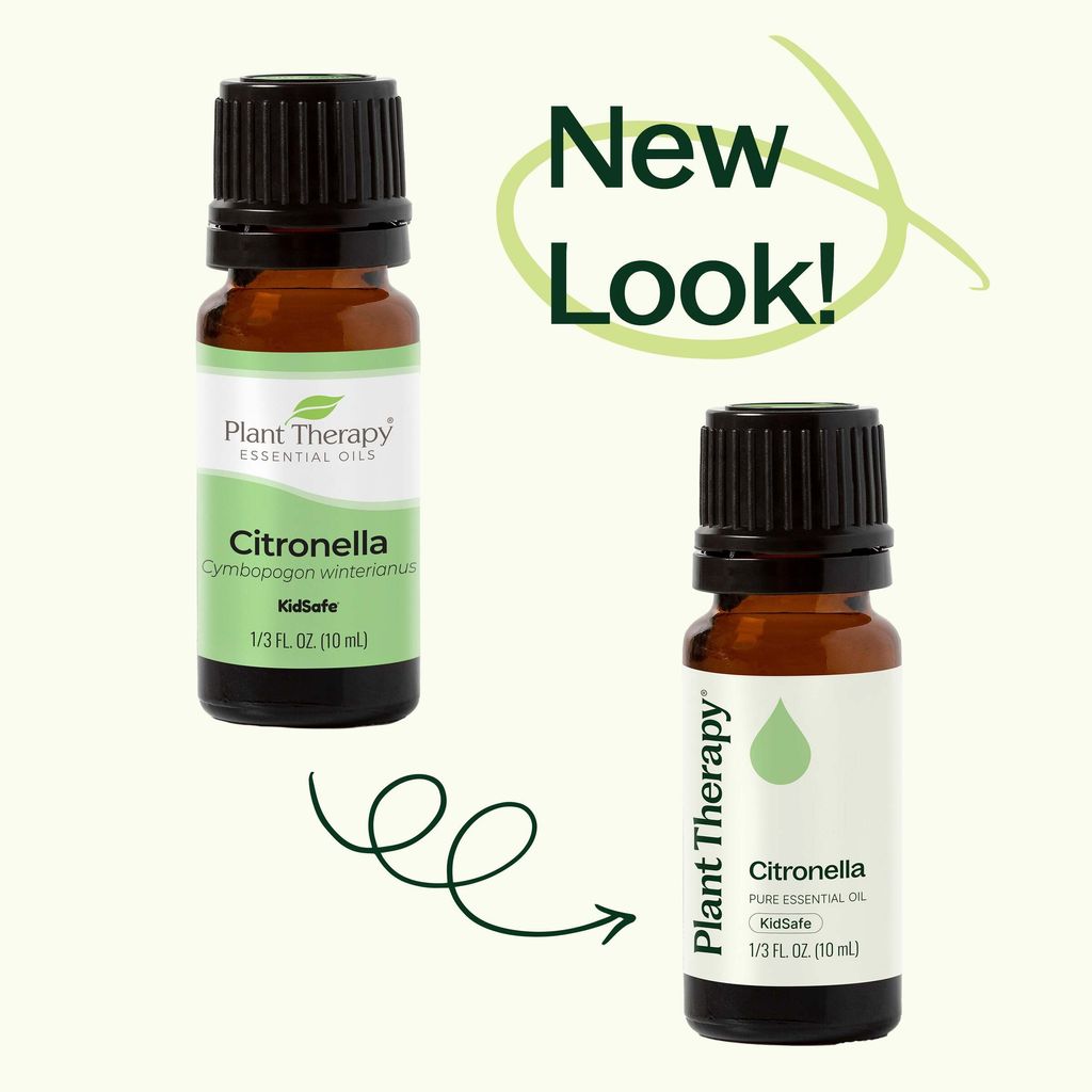 Citronella-06