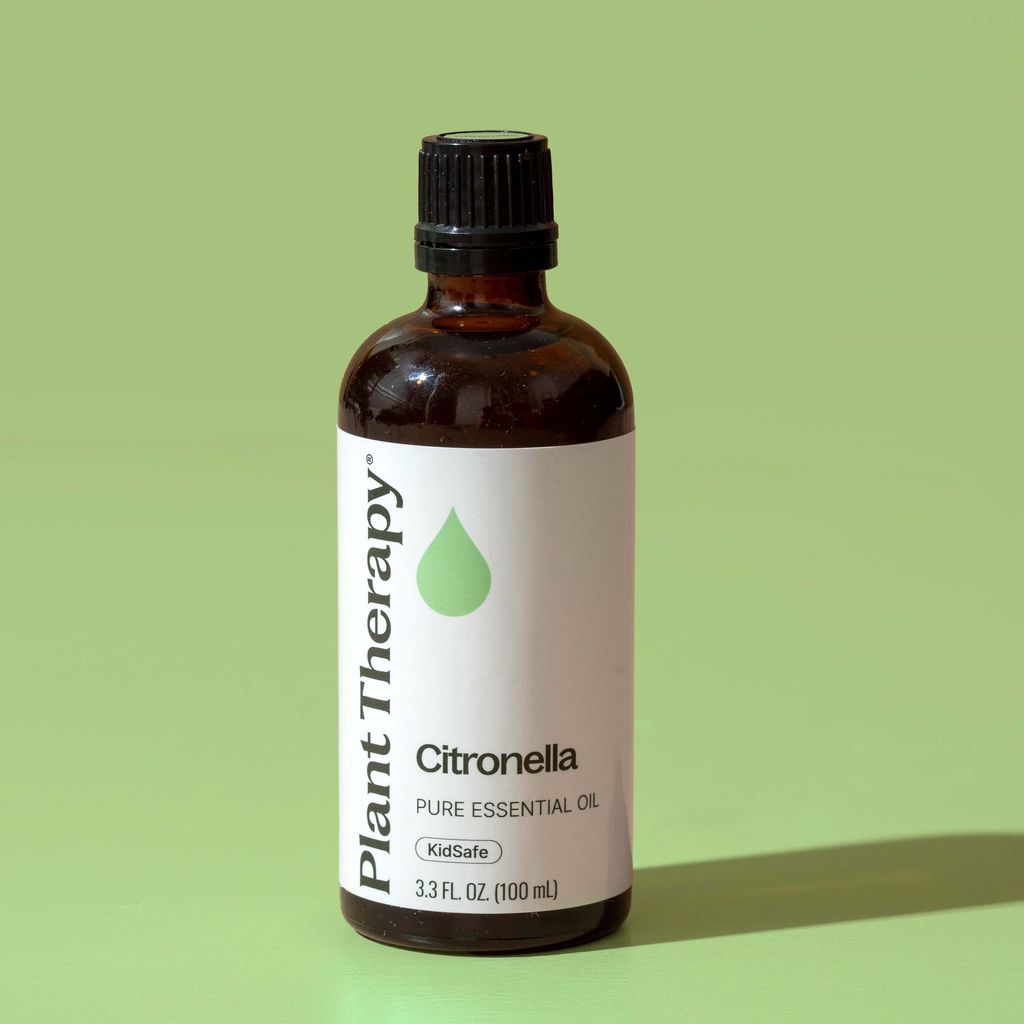 Citronella-11