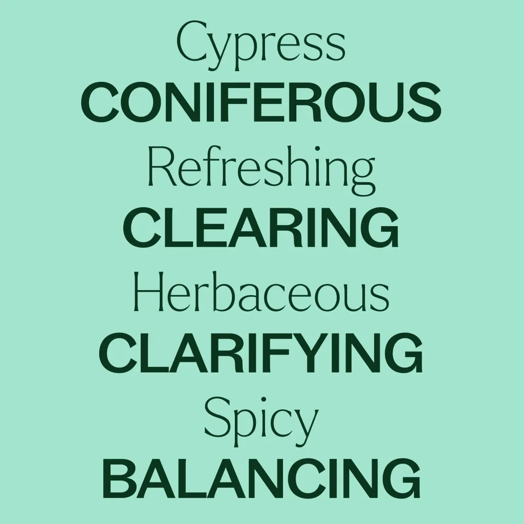 Cypress-04_jpg