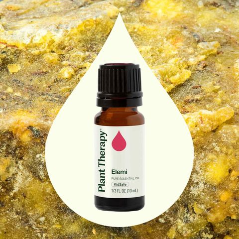 Close-up of Plant Therapy Elemi Essential Oil label with fresh resin aroma for diffuser and wellness use