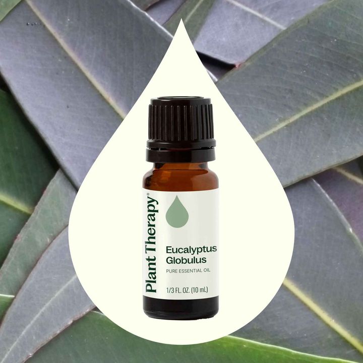 Eucalyptus Globulus Essential Oil diffused to help relieve congestion and freshen indoor air