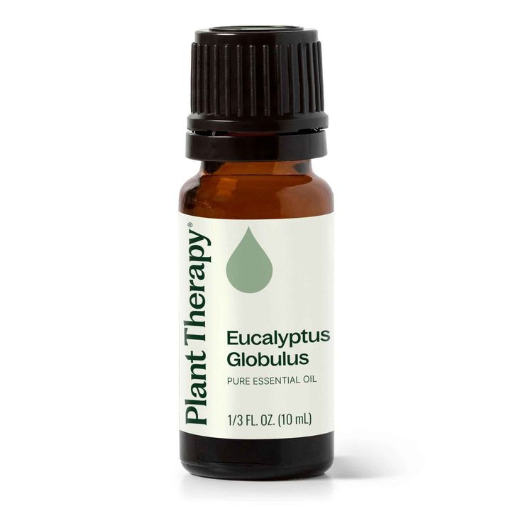Plant Therapy Eucalyptus Globulus Essential Oil bottle for respiratory support and aromatherapy