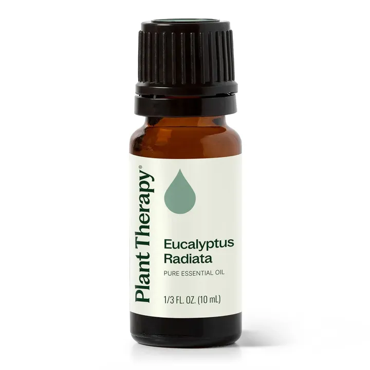 Plant Therapy Eucalyptus Radiata Essential Oil bottle with crisp fresh aroma