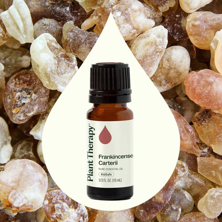 Frankincense Carterii Essential Oil diffused to support emotional balance and relaxation