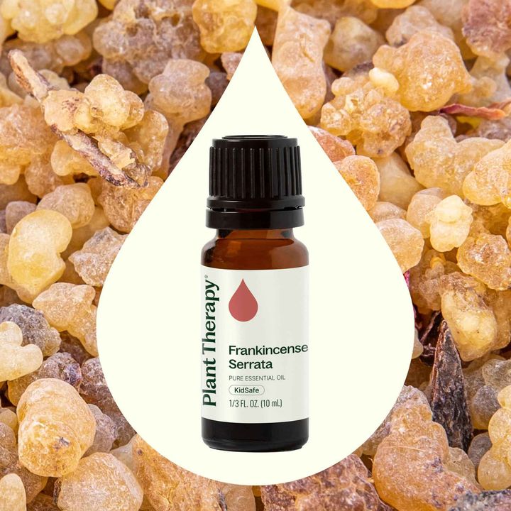 Frankincense Serrata Essential Oil diffused to support clear breathing and relaxation