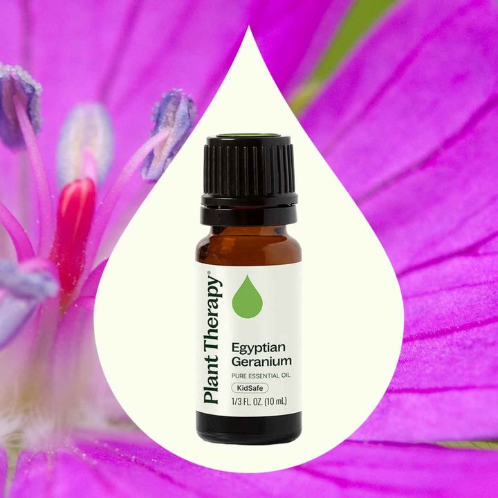 Egyptian Geranium Essential Oil diffused to ease stress and promote emotional balance