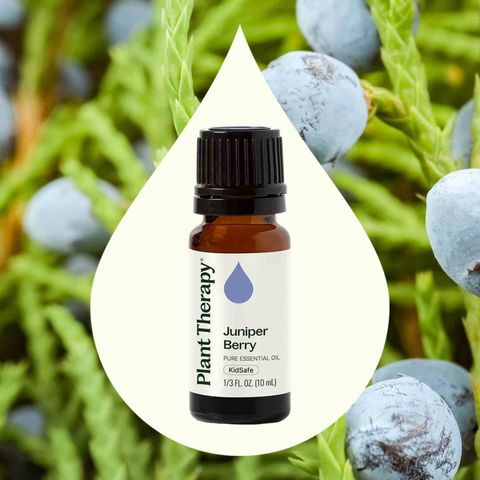 Juniper Berry Essential Oil diffused to promote relaxation and emotional balance