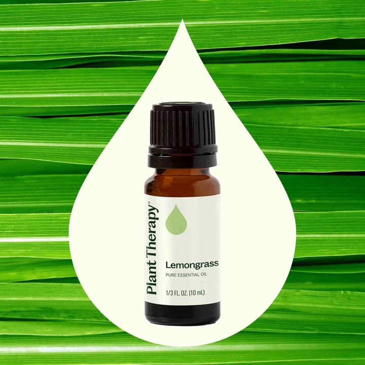 Lemongrass Essential Oil diffused to uplift mood and refresh indoor spaces