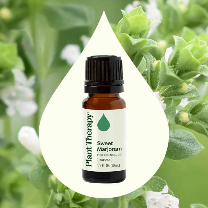 Sweet Marjoram Essential Oil diffused to promote relaxation and emotional comfort