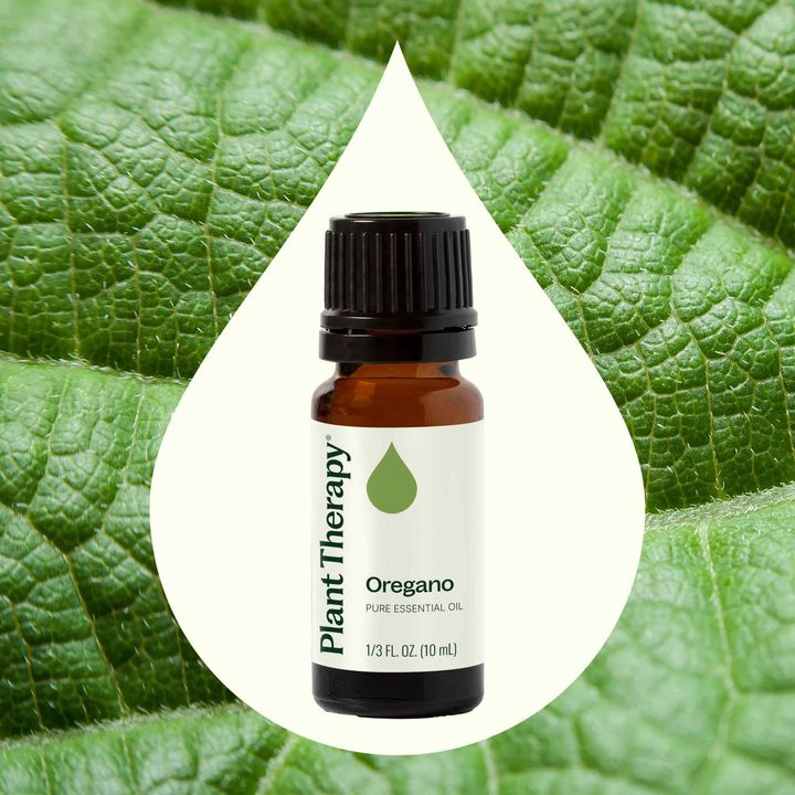 Oregano Essential Oil diffused to support immune health and clear breathing