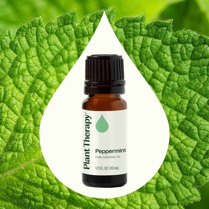 Peppermint Essential Oil diffused to boost alertness and mental focus