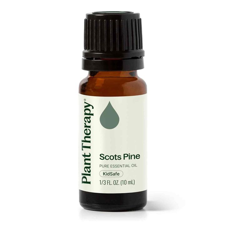 Plant Therapy Scots Pine Essential Oil bottle – 100% pure essential oil in Malaysia
