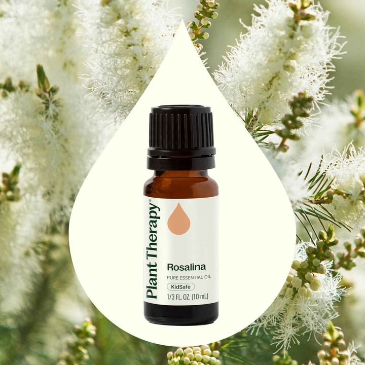 Rosalina Essential Oil diffused to support respiratory comfort and relaxation