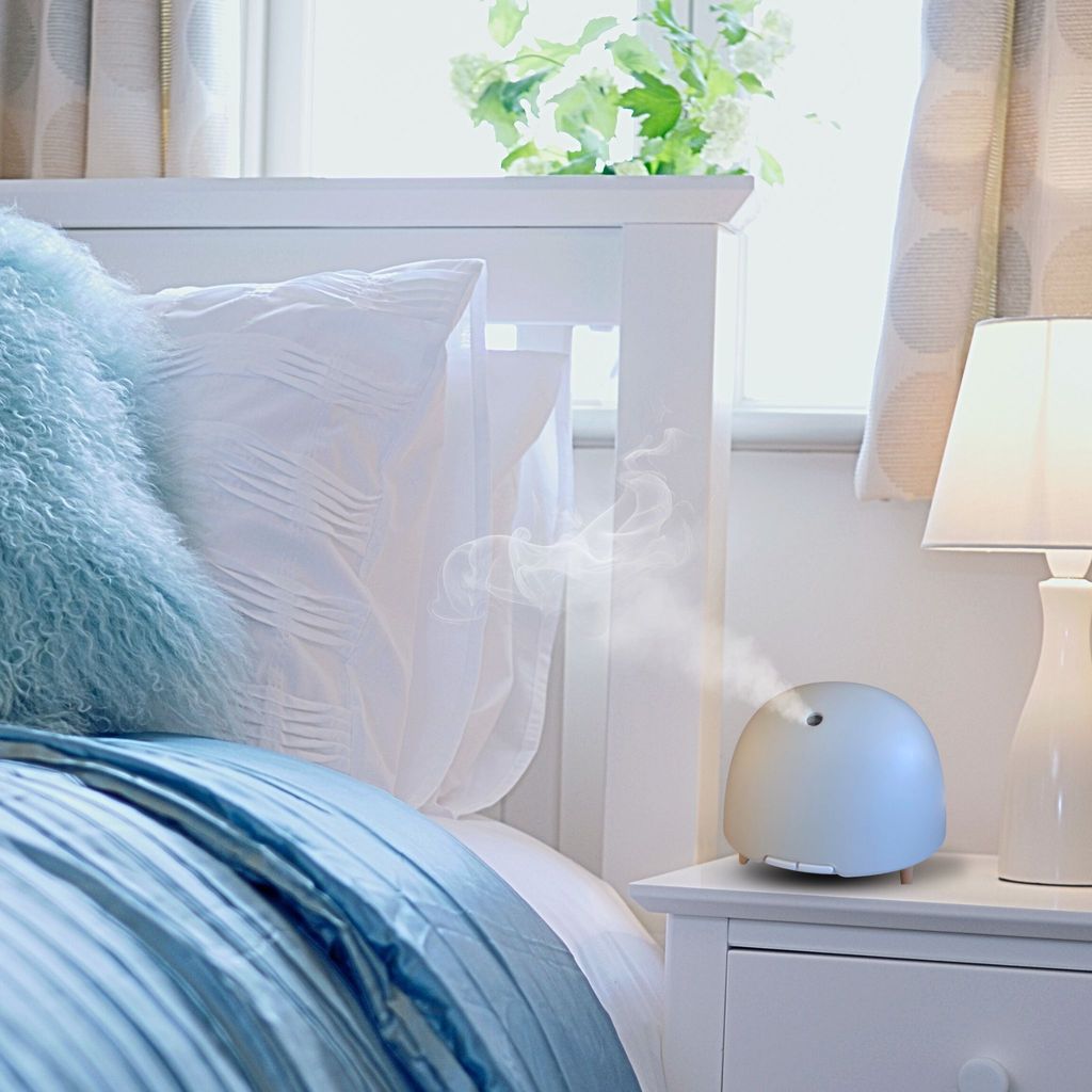 Bibo Blue_2
