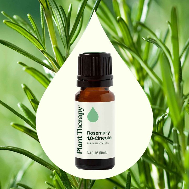Rosemary 1,8-Cineole Essential Oil diffused to support focus and mental clarity