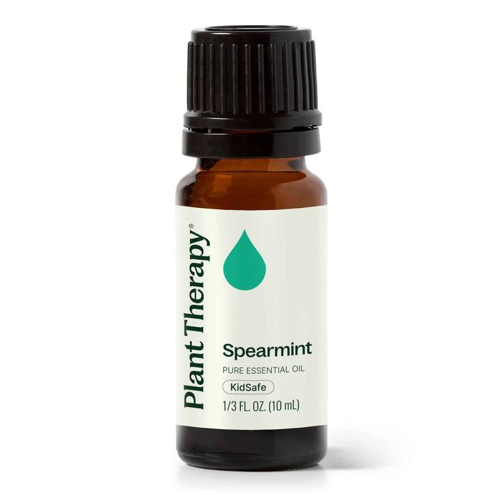 Plant Therapy Spearmint Essential Oil bottle with fresh, gentle mint aroma
