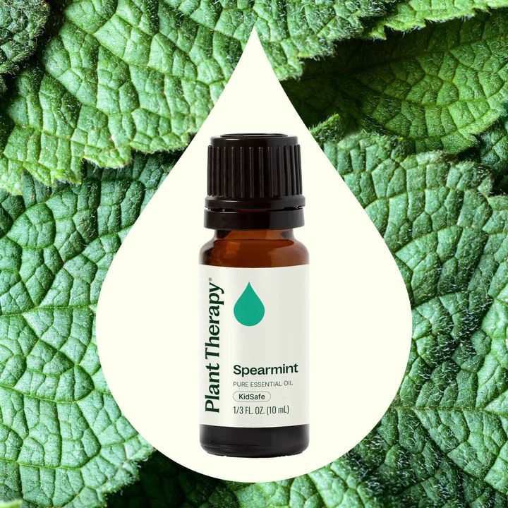 Spearmint Essential Oil diffused to boost focus and mental clarity