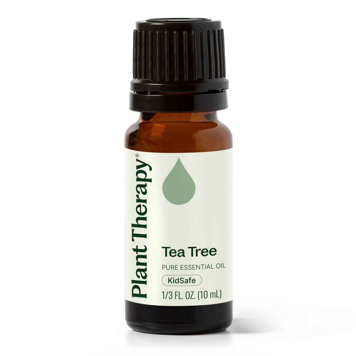 Plant Therapy Tea Tree Essential Oil bottle with fresh medicinal aroma