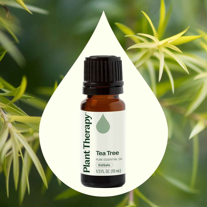 Tea Tree Essential Oil diluted with carrier oil to support clear-looking skin