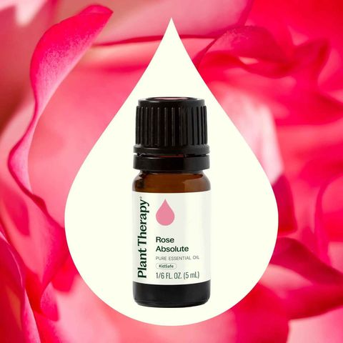 Rose Absolute Essential Oil used to support emotional comfort and relaxation