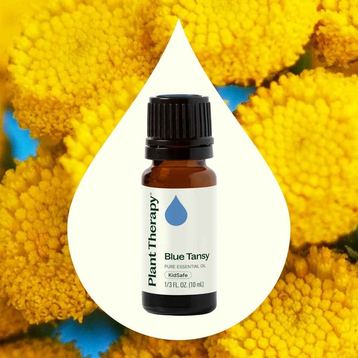 Blue Tansy Essential Oil used to soothe irritated skin and promote comfort