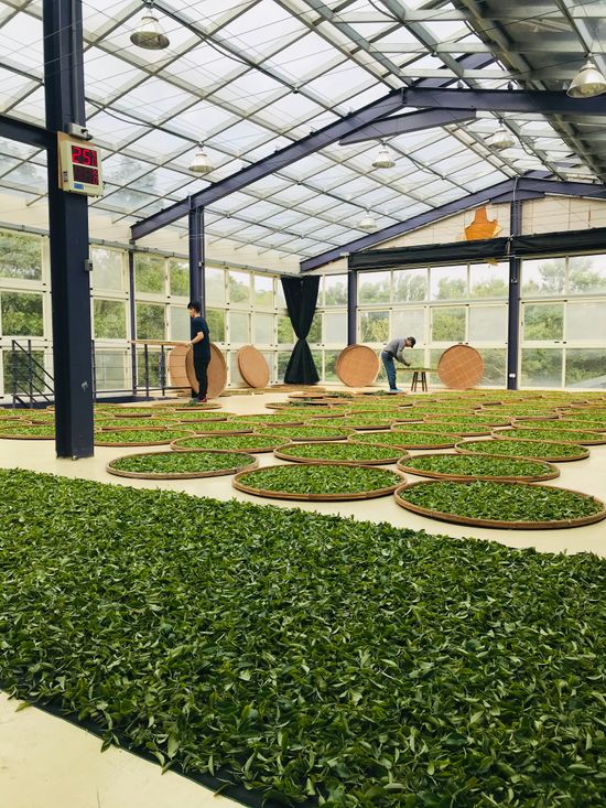  | 怡明茶園官方網站