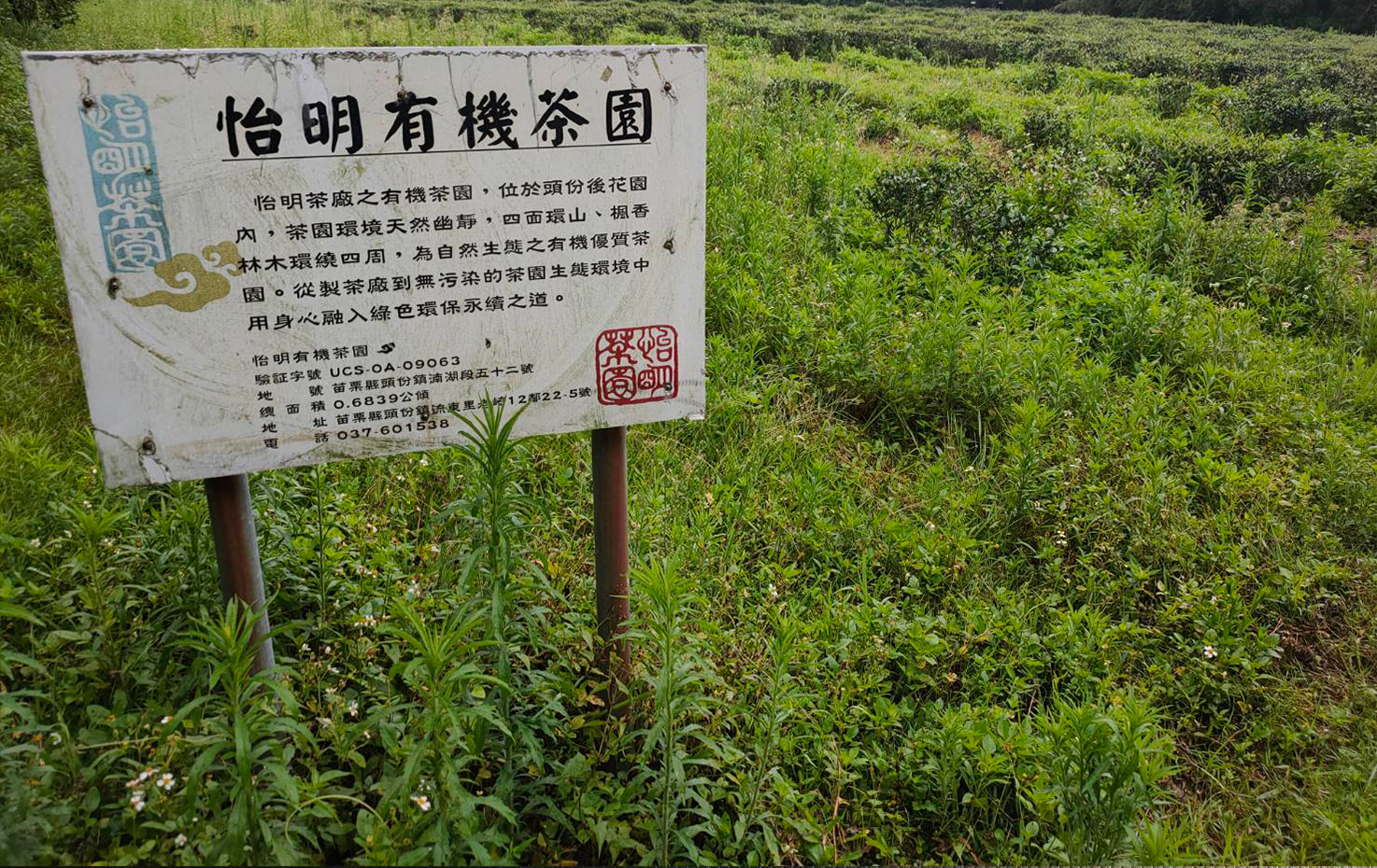 10244-已修復