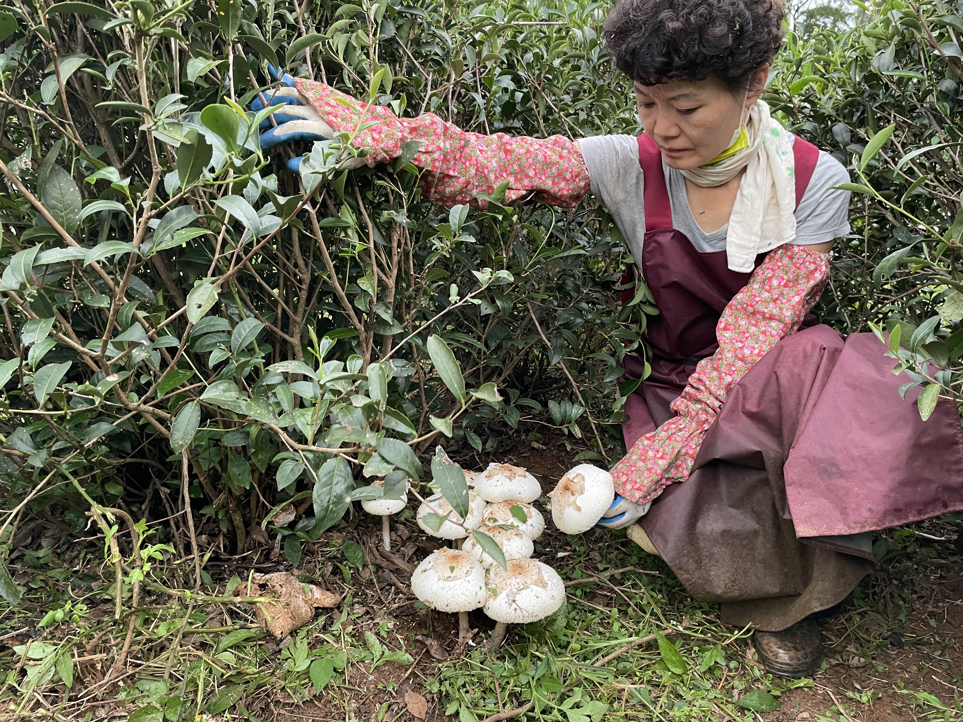 3917A506-DD6F-4AC6-B659-7A3529C9AD0F