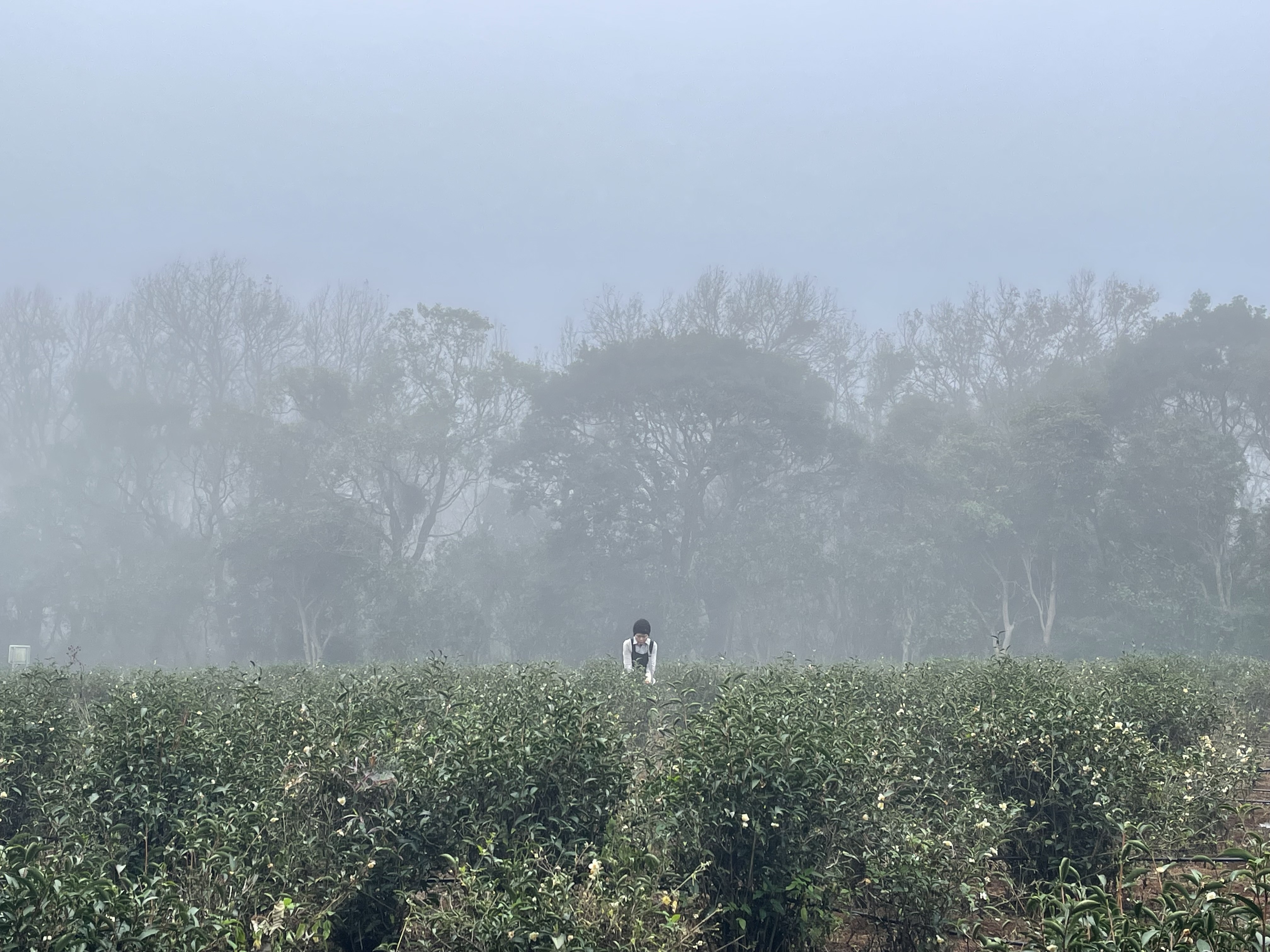 F3E0E04F-3A12-4B89-A1AA-6B7D428DD1EB