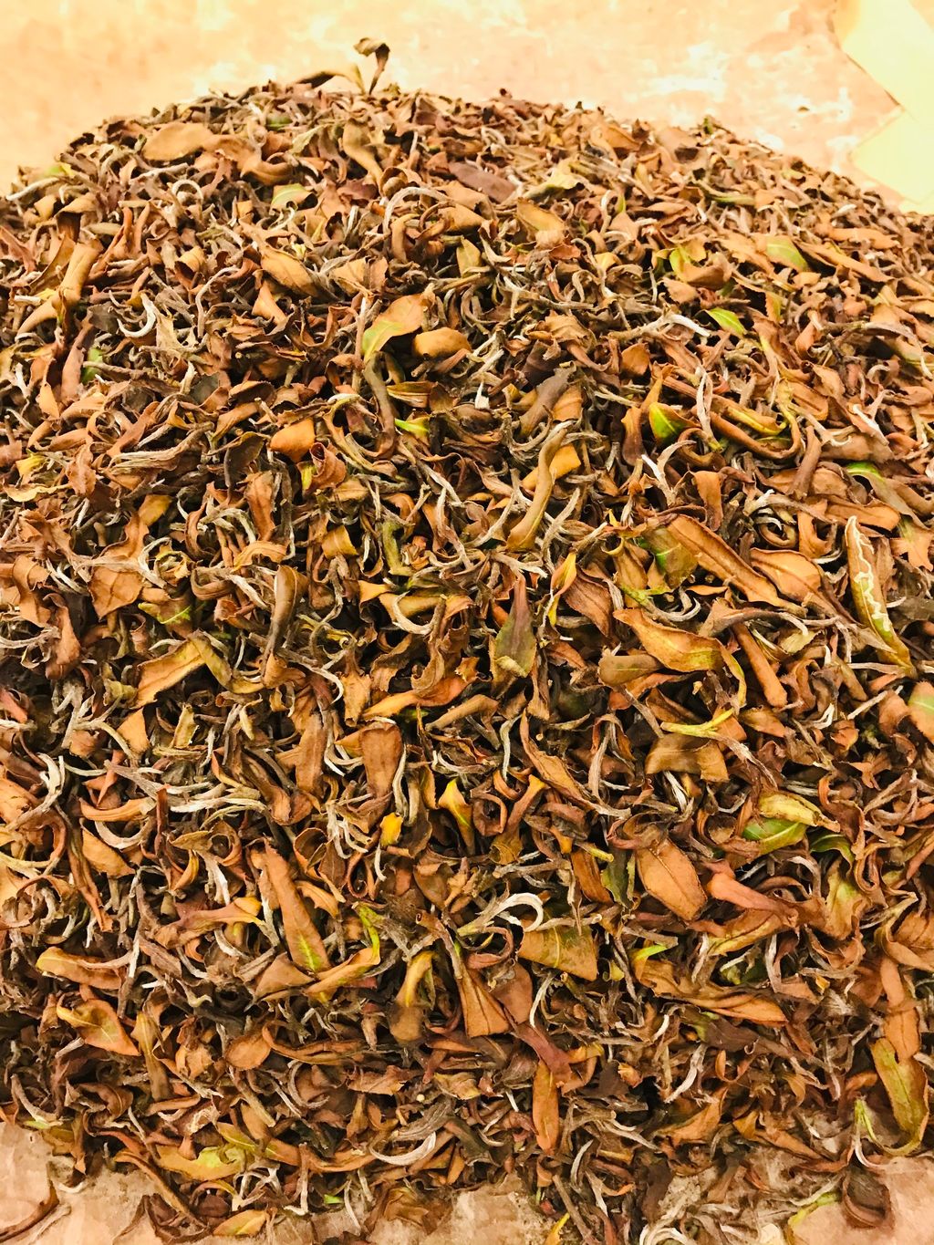 798C9970-101E-47F5-9580-11ACE58286B7