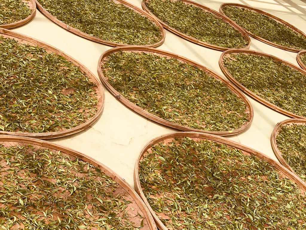 D7055F4E-C170-4157-96A0-249AE0EBE2A0