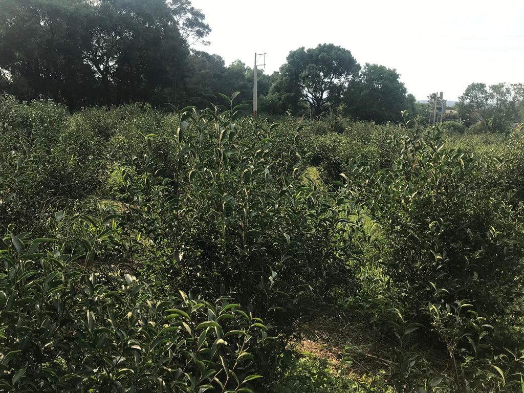 5E534864-369F-4E23-B3F4-4A4502B4F95F