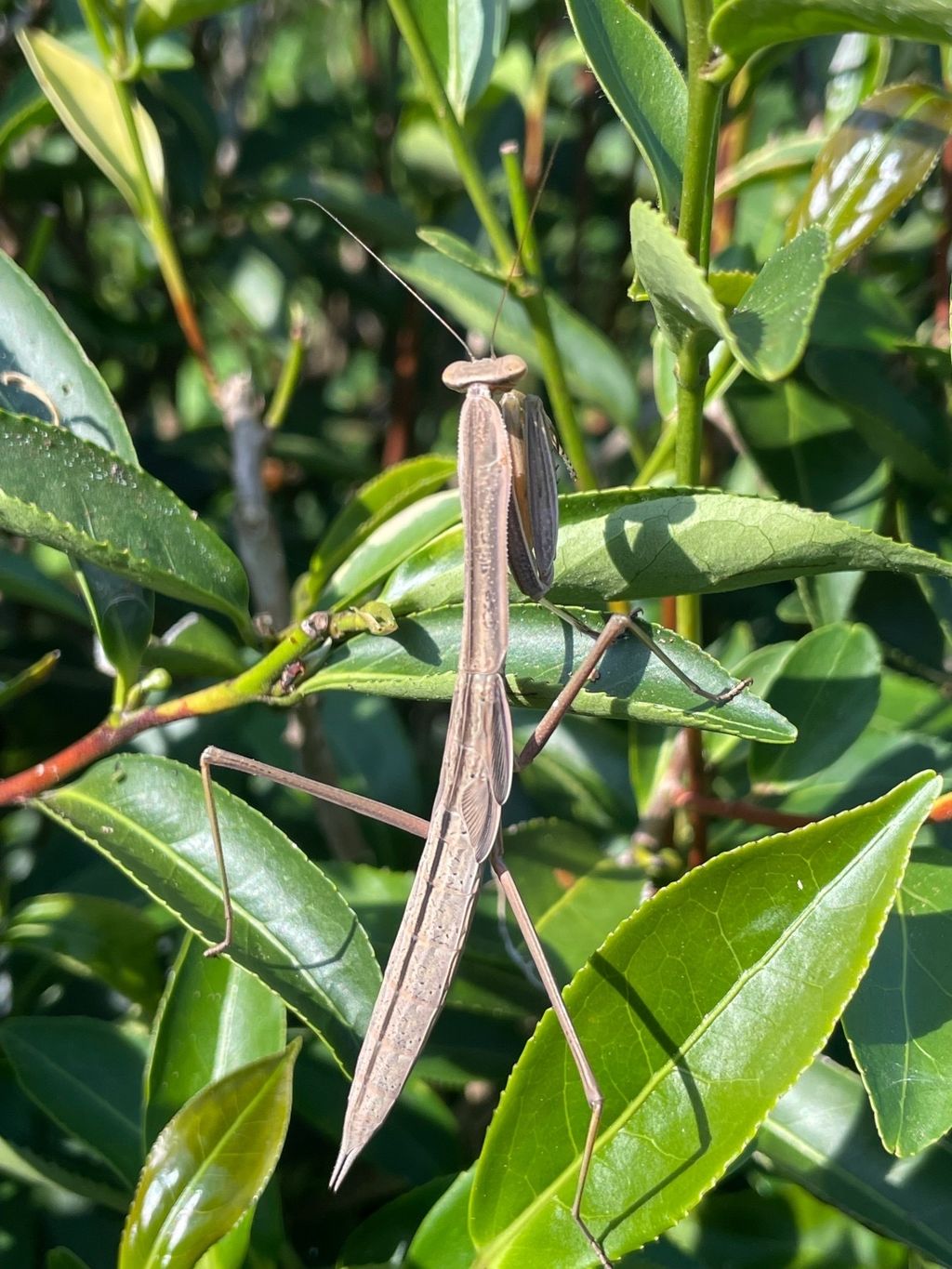 9D08487F-E44B-4DF7-B24E-B404872AF91D