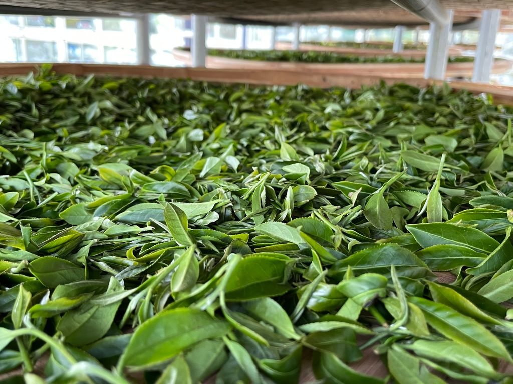 4C1303D2-76BA-42F0-9EE8-25781AD0873C