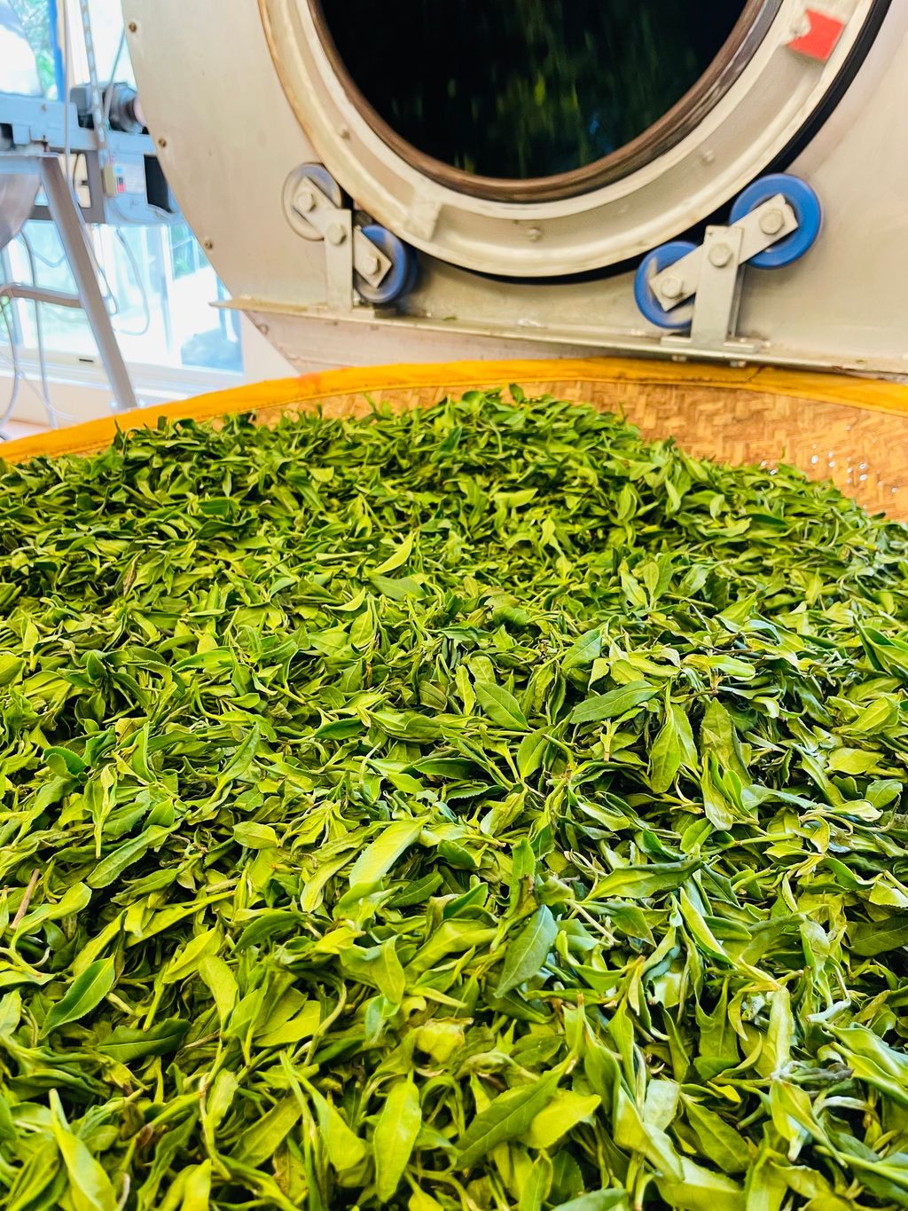 349B8B9B-82F0-4524-B139-4A752218BF46