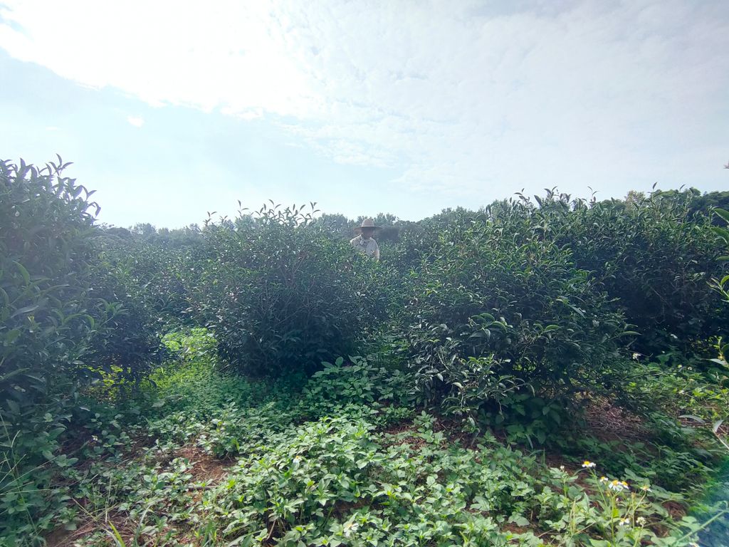 IMG20231108090120