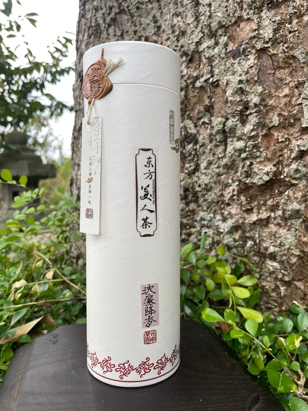 F31C556E-7C60-4DE6-A063-81A01FF5E5A2