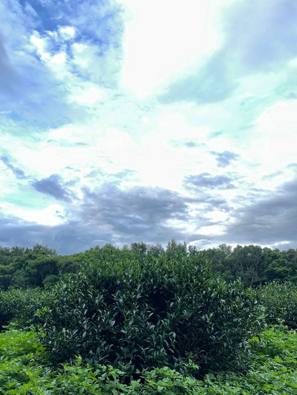 5B770821-CC6B-49BF-8311-2D3A0301EF2F