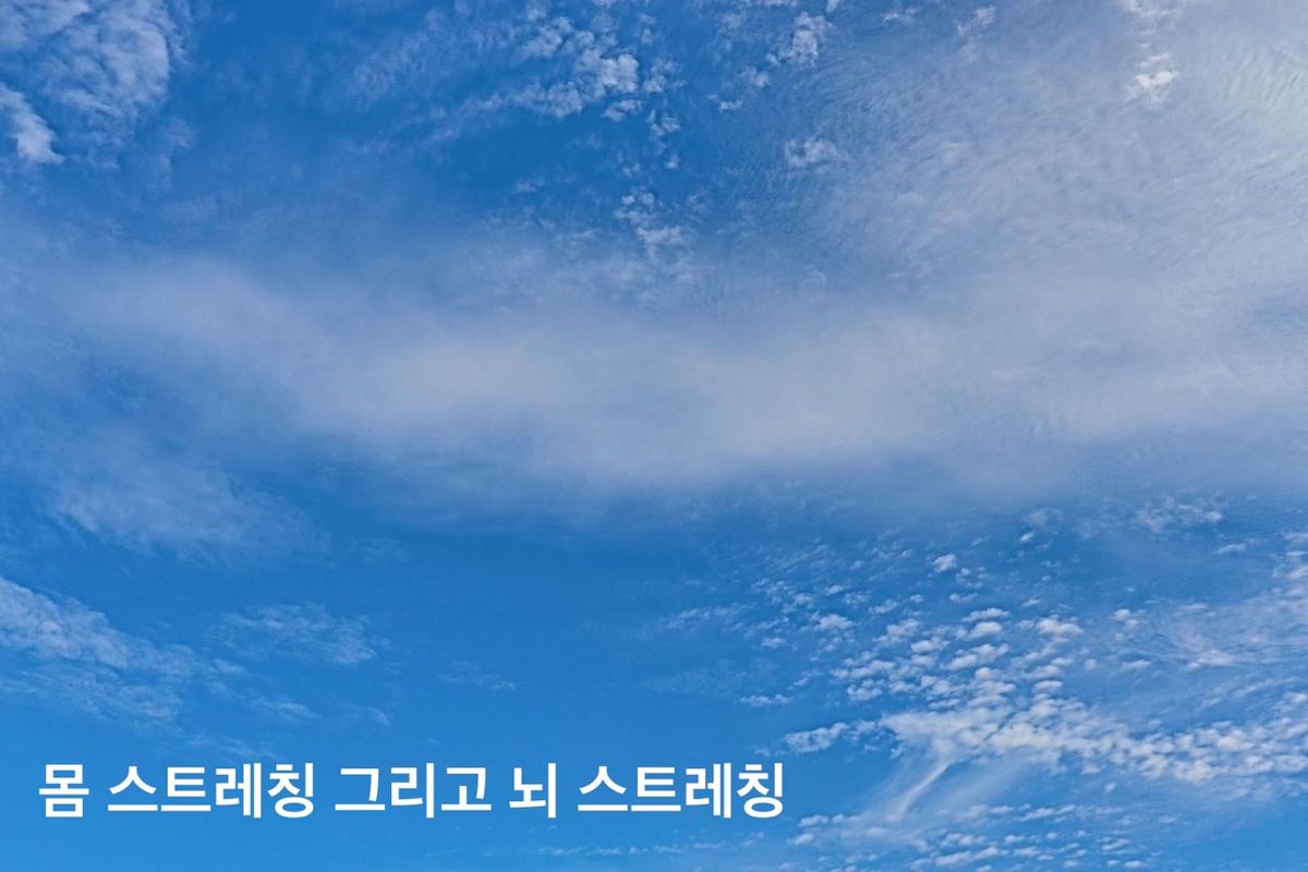 운동과 글 쓰기, 몸 스트레칭과 뇌 스트레칭
