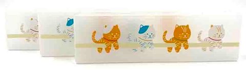 pencil box - plastic.jpg