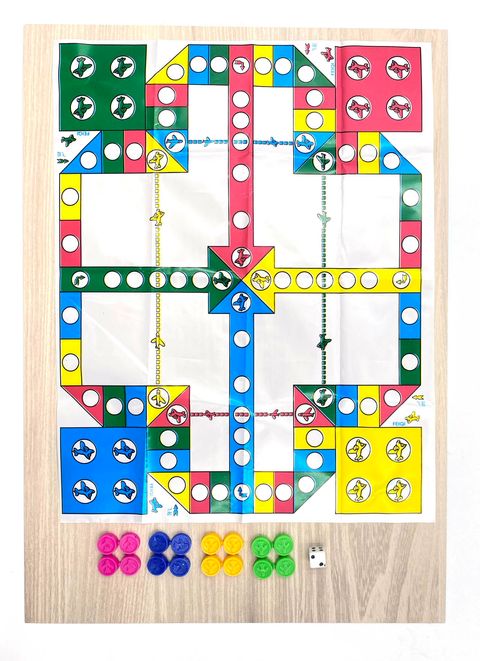 Mini Ludo 1.jpg