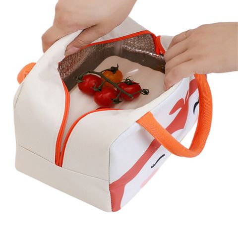 Lunch Bag 2