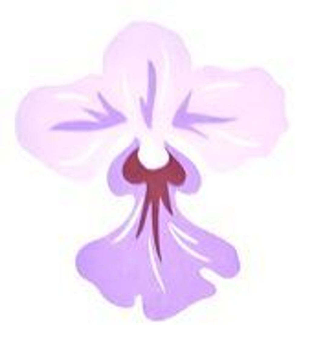 Orchid Tattoo