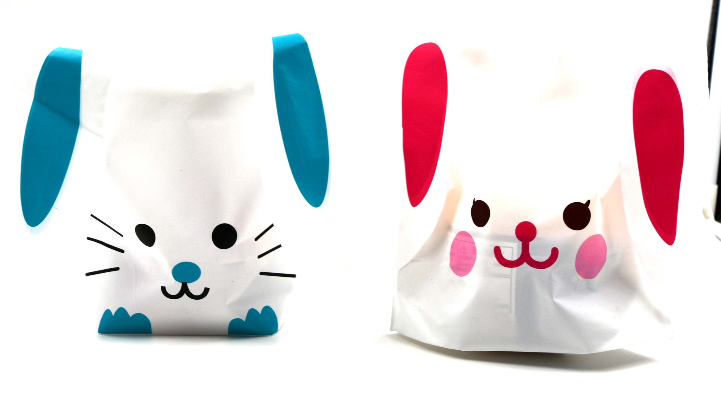 Rabbit Bag 4.jpg